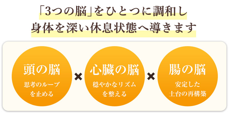 3つの脳